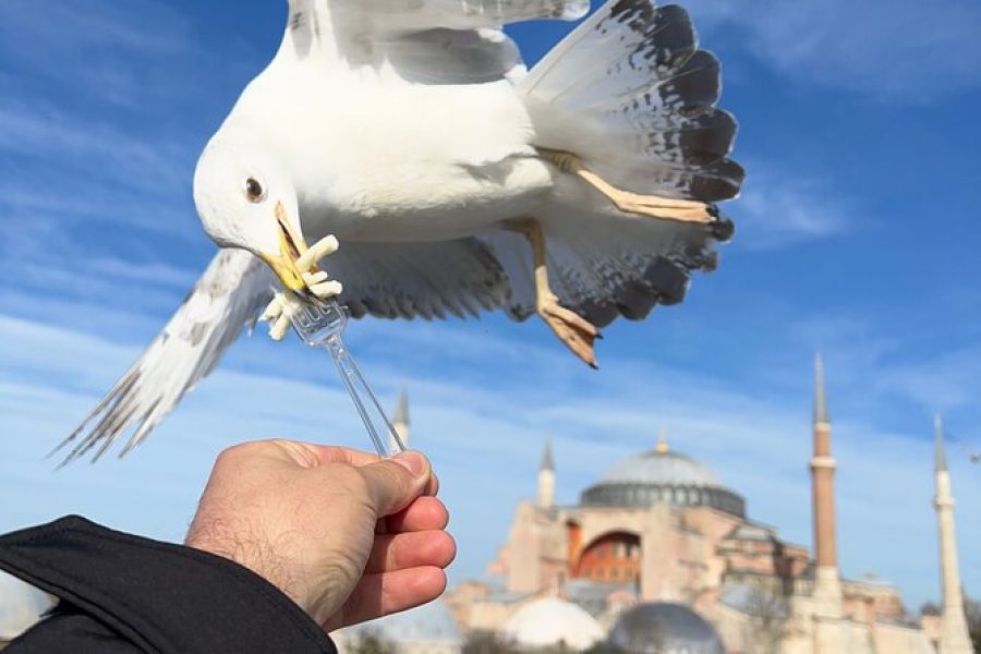 ISTANBUL BEST : City Tour
