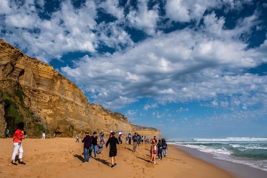 Great Ocean Road Small-Group Ecotour from Melbourne