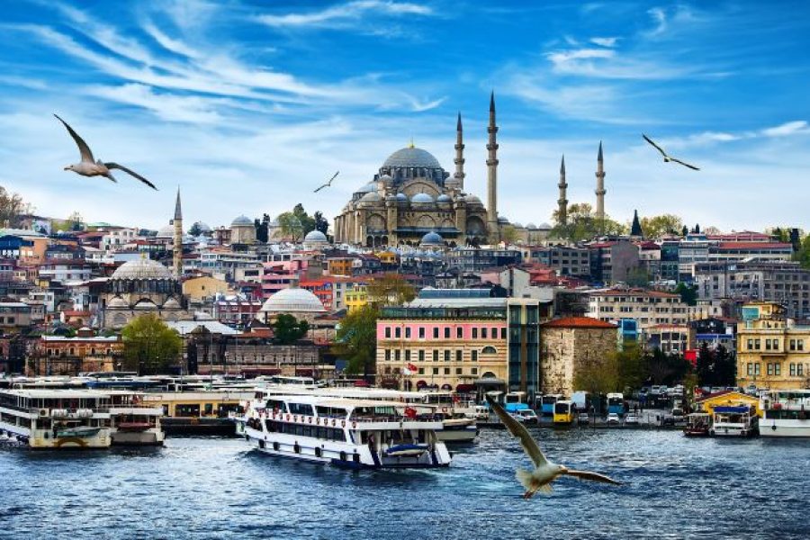 Splendid Turkey
